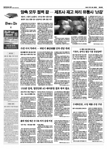 06면